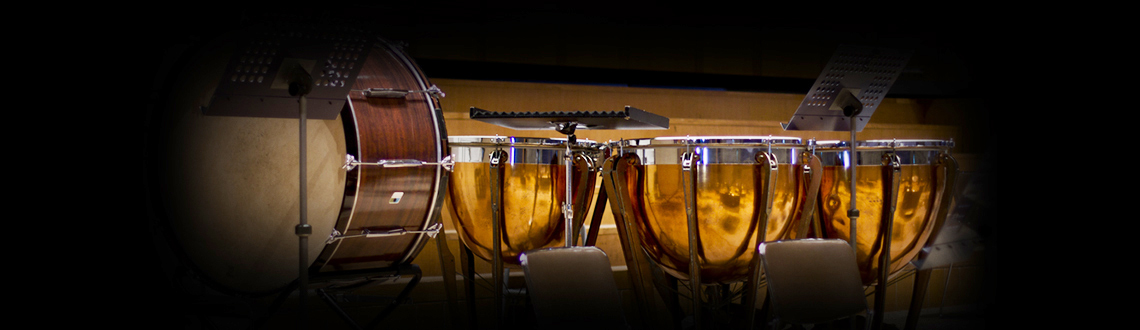 concert snares and toms