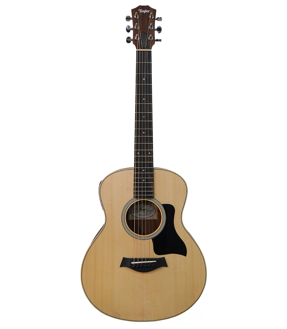 Taylor GS Mini e