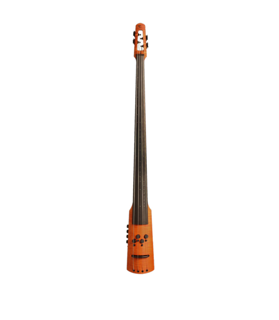 NS Electric Double Bass 4 string