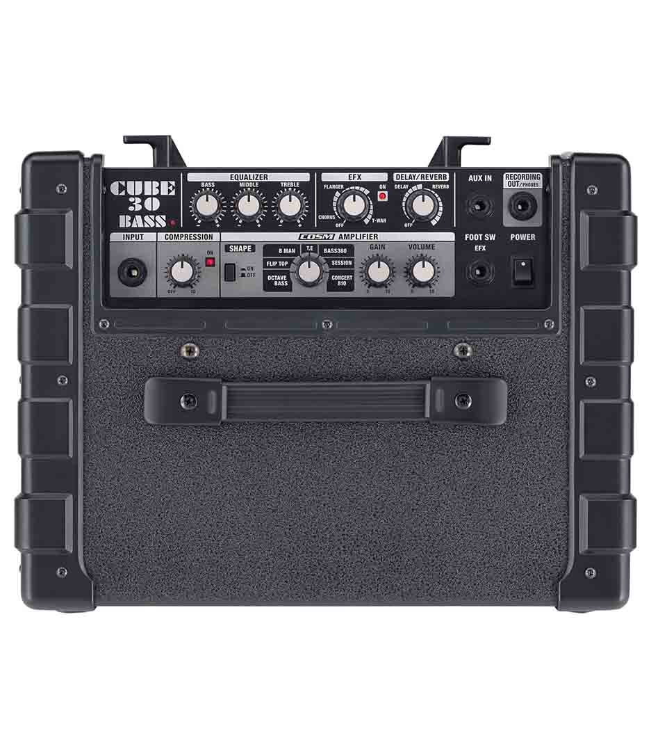 Roland Cube  Bass   Backline Rental, Student Rental