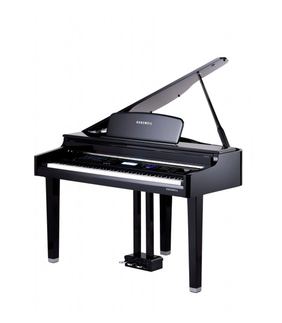 Kurzweil X PRO MG