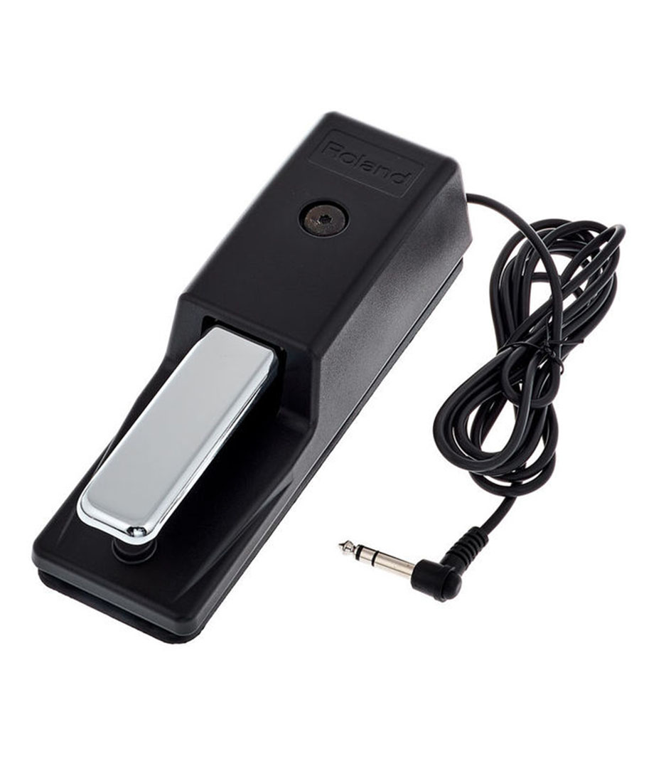 Roland DP 10 Sustain pedal