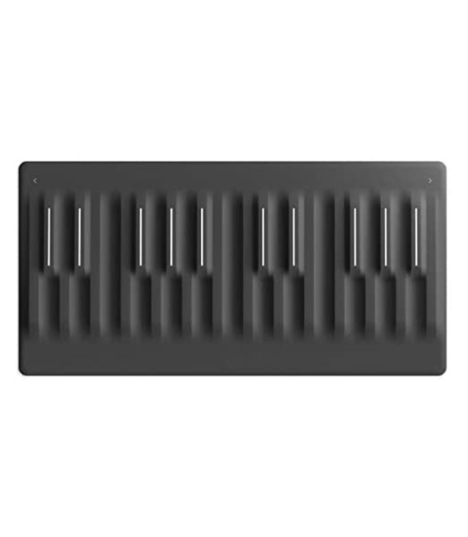 Roli Seaboard Block 24 Keys Super Powered Keyboard